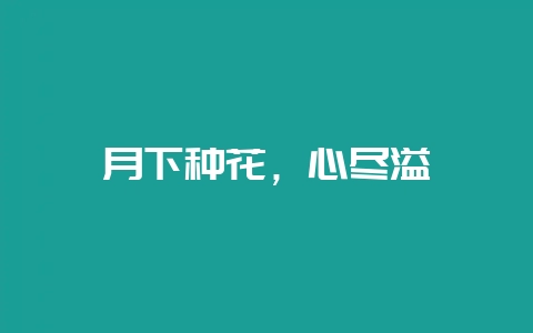 月下种花,心尽溢馨-会东网