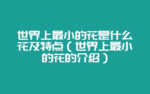 世界上最小的花是什么花及特点（世界上最小的花的介绍）-会东网