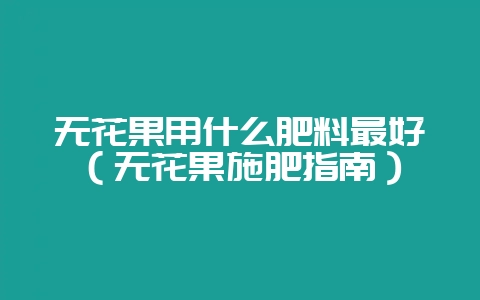无花果用什么肥料最好（无花果施肥指南）-会东网