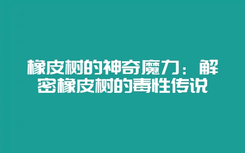橡皮树的神奇魔力：解密橡皮树的毒性传说-会东网