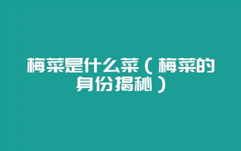 梅菜是什么菜（梅菜的身份揭秘）-会东网