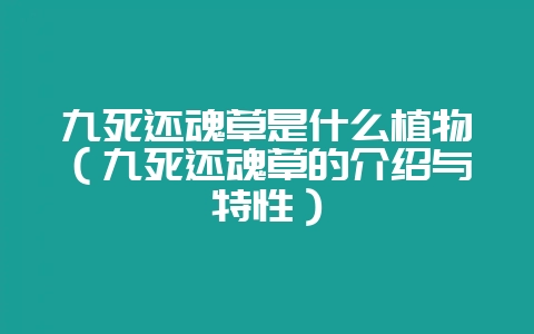九死还魂草是什么植物(九死还魂草的介绍与特性)-会东网
