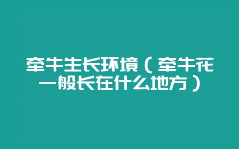 牵牛生长环境（牵牛花一般长在什么地方）-会东网