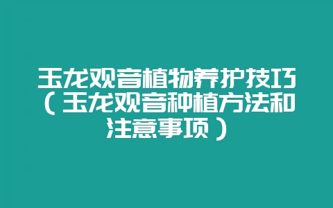 玉龙观音植物养护技巧(玉龙观音种植方法和注意事项)-会东网