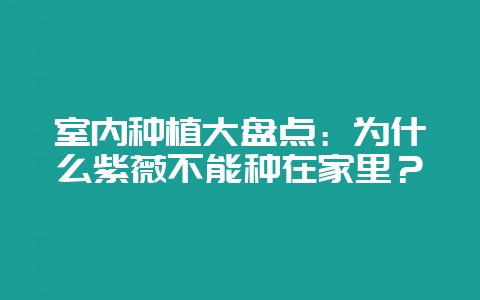 室内种植大盘点:为什么紫薇不能种在家里?-会东网