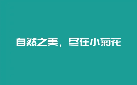 自然之美，尽在小菊花-会东网