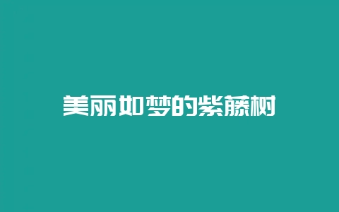 美丽如梦的紫藤树-会东网