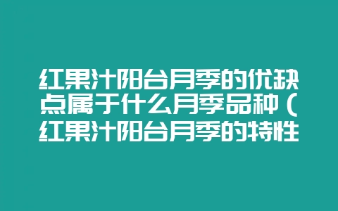 红果汁阳台月季的优缺点属于什么月季品种(红果汁阳台月季的特性-会东网