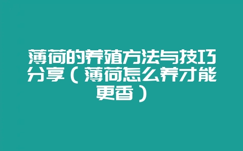 薄荷的养殖方法与技巧分享(薄荷怎么养才能更香)-会东网