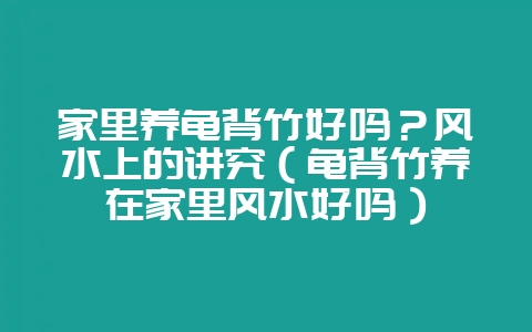 家里养龟背竹好吗?风水上的讲究(龟背竹养在家里风水好吗)-会东网
