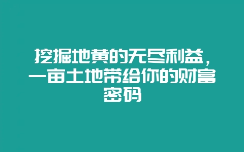 挖掘地黄的无尽利益，一亩土地带给你的财富密码-会东网