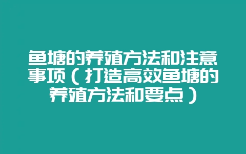 鱼塘的养殖方法和注意事项(打造高效鱼塘的养殖方法和要点)-会东网