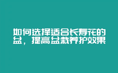 如何选择适合长寿花的盆，提高盆栽养护效果-会东网
