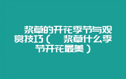 酢浆草的开花季节与观赏技巧（酢浆草什么季节开花最美）-会东网