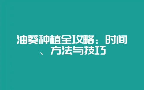 油葵种植全攻略：时间、方法与技巧-会东网