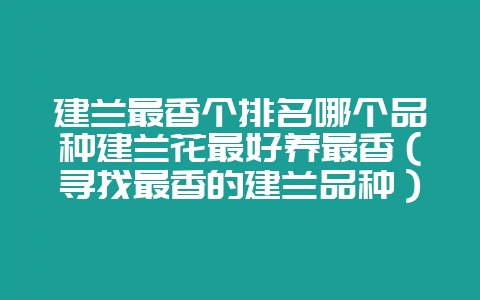 建兰最香个排名哪个品种建兰花最好养最香（寻找最香的建兰品种）-会东网