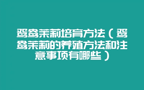 鸳鸯茉莉培育方法(鸳鸯茉莉的养殖方法和注意事项有哪些)-会东网
