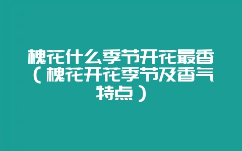槐花什么季节开花最香(槐花开花季节及香气特点)-会东网