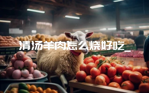 清汤羊肉怎么烧好吃_-会东网