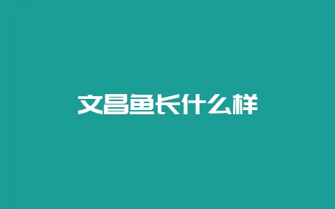 文昌鱼长什么样-会东网