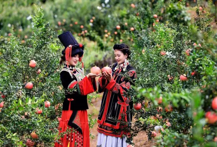 会理地理位置介绍(会理市历史文化文脉)插图 会理地理位置介绍(会理市历史文化文脉)插图