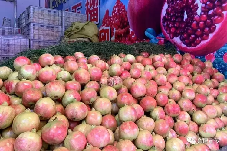 会理地理位置介绍(会理市历史文化文脉)插图2 会理地理位置介绍(会理市历史文化文脉)插图2