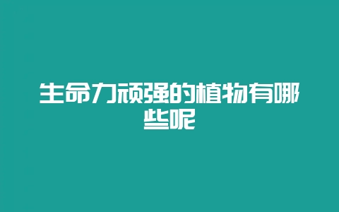 生命力顽强的植物有哪些呢-会东网