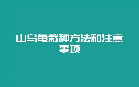 山乌龟栽种方法和注意事项-会东网