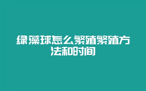 绿藻球怎么繁殖繁殖方法和时间-会东网