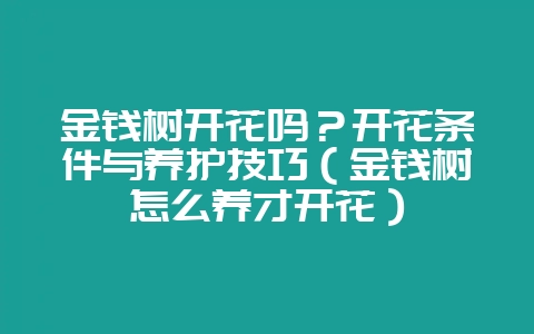 金钱树开花吗?开花条件与养护技巧(金钱树怎么养才开花)-会东网