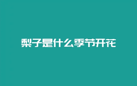 梨子是什么季节开花插图 梨子是什么季节开花插图