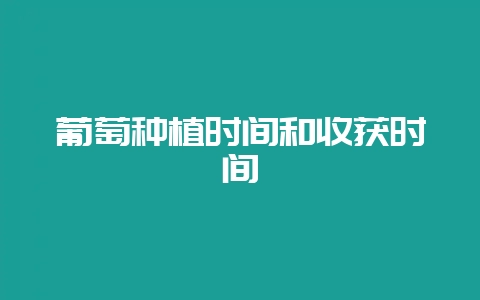 葡萄种植时间和收获时间-会东网