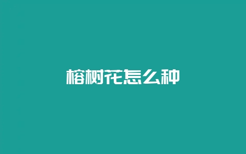 榕树花怎么种-会东网