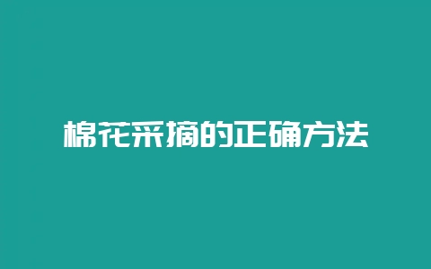棉花采摘的正确方法-会东网