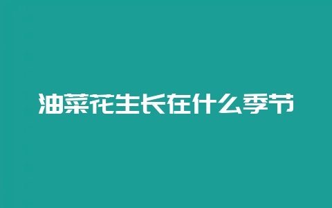 油菜花生长在什么季节-会东网