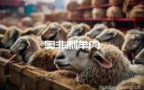 奥非利羊肉-会东网