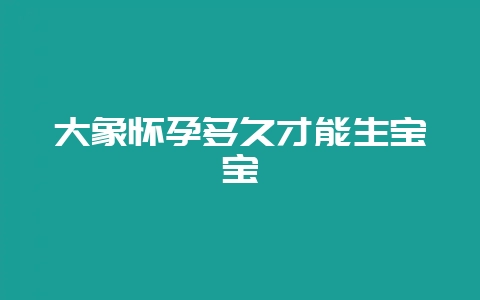 大象怀孕多久才能生宝宝-会东网