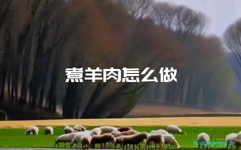 煮羊肉怎么做-会东网