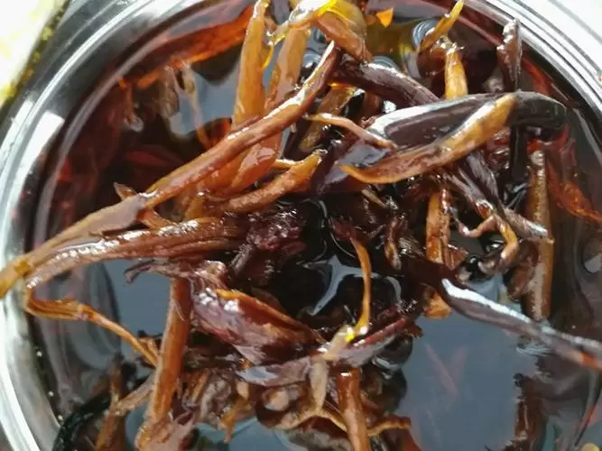 会理必带回的特产(会理有什么土特产)-会东网