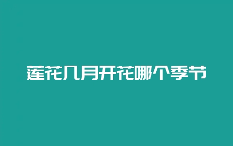 莲花几月开花哪个季节-会东网