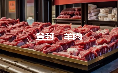 登封烩羊肉-会东网