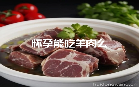 怀孕能吃羊肉么-会东网
