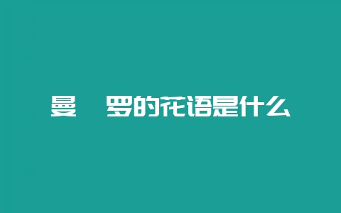 曼陀罗的花语是什么-会东网