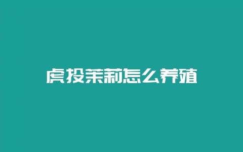 虎头茉莉怎么养殖-会东网