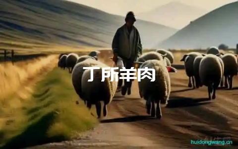 丁所羊肉-会东网