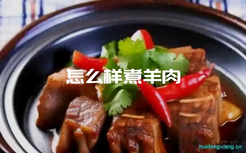 怎么样煮羊肉-会东网