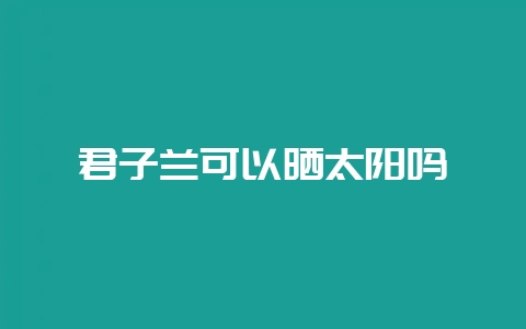 君子兰可以晒太阳吗-会东网