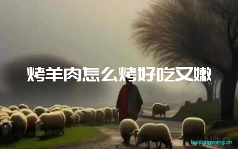 烤羊肉怎么烤好吃又嫩-会东网
