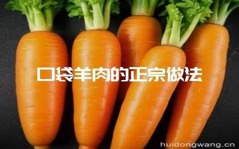 口袋羊肉的正宗做法-会东网