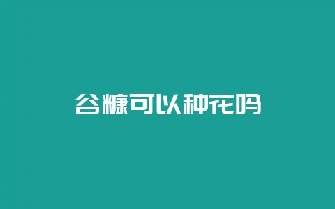 谷糠可以种花吗-会东网